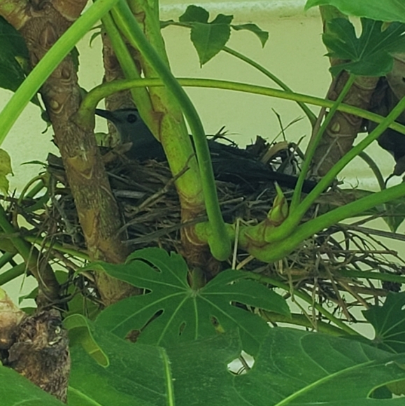 Meet your Posher - Picture 6 of 8